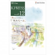 KP2412web